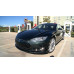 Foto: Tinta Tesla PMSG SEQUOIA VERDE № 2 | Asturcolor