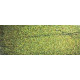 Tinta Nissan DAL EVERGREEN