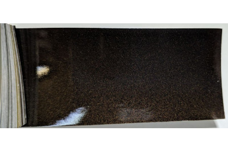 Tinta Fiat 532B Ébano, ORO NERA