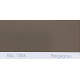 Tinta Ford BGT GRAU, BEIGEGRAU, RAL 7006