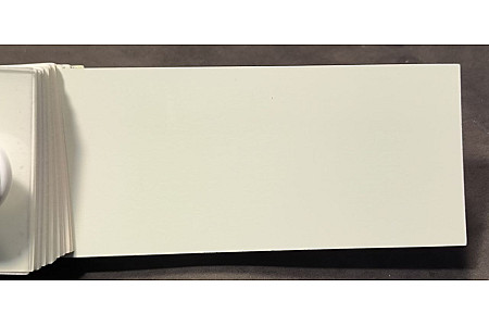 Tinta Isuzu 877 (W901) BRANCO ALPINO