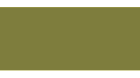 Tinta Jeep PFG (GFG) VERDE ÓPTICO Tinta Jeep PFG (GFG) VERDE ÓPTICO