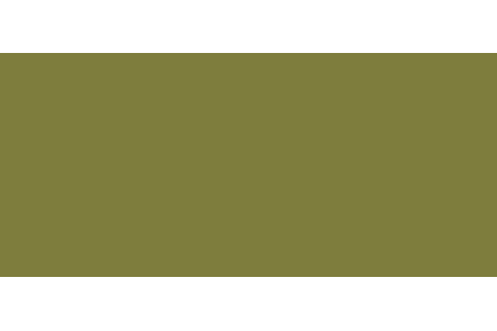 Tinta Jeep PFG (GFG) VERDE ÓPTICO Tinta Jeep PFG (GFG) VERDE ÓPTICO
