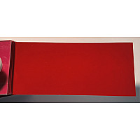 Tinta Nissan AG2 VERMELHO
