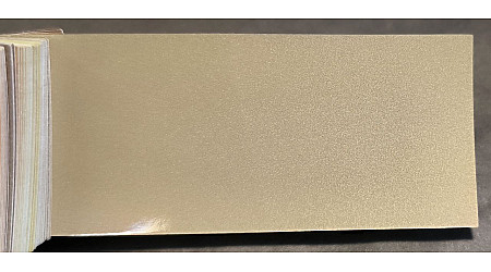 Tinta Nissan E51 ORO NUBLADO Tinta Nissan E51 ORO NUBLADO